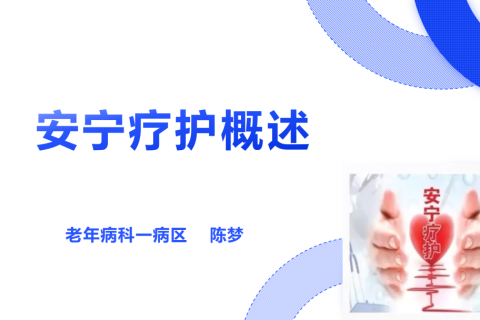 PPT：安甯療護概述（相關概念、倫理(lǐ)與法律、發展及服務模式）